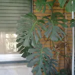 Olimpica Relais 4* Rome