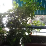 Olimpica Relais Gasthuis